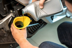 Biar Motor Bebek Tetap Bertenaga, Ini Rekomendasi Oli Paling Worth It 2025 !