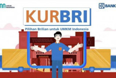 Ini Penyebab KUR BRI Ditolak, Tapi Ada Solusinya, Simak Penjelasan Berikut Ini