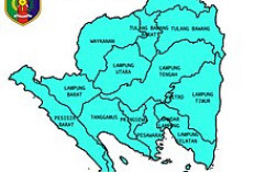 Daftar 8 Kecamatan di Lampung Tengah Bentuk 'Kabupaten Seputih Timur', 366 Ribu Jiwa Bersiap Ganti KTP!