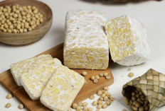 Viral Isu Tempe Impor Picu Kanker, Ini Fakta Ilmiahnya Menurut Pakar !