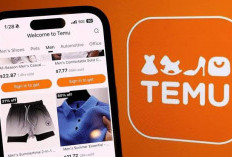 Raja Ecommerce China di Indonesia Tutup