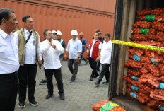   72 Ton Bawang Bombai Mengandung OPTK, Mentan:  Sita dan Usut Tuntas