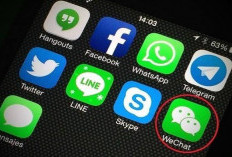 Pengguna Aplikasi Pengganti WhatsApp Makin Ramai, Ini Alasan Orang Pindah
