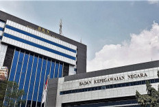 Kebijakan WFO dan WFA Hanya Berlaku untuk ASN BKN