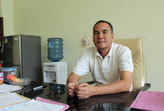 Ribuan Hektare Lahan Eks HGU Diusulkan ke Bank Tanah