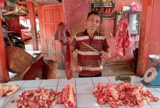 Alhamdulillah, Harga Daging di Rejang Lebong Kembali Stabil Usai Lebaran!