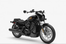 Intip Motor Harley Davidson dengan Harga Termurah Disini