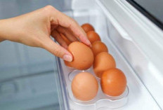 5 Makanan yang Tidak Boleh Disimpan di Pintu Kulkas dan Alasannya