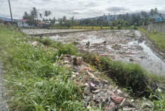 Lahan Persawahan di Talang Benih Dipenuhi Sampah, Ini Faktor Penyebabnya