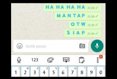 Bosan Tampilan WhatsApp yang Monoton, Uban Tulisan Chat jadi Warna-warni dengan Cara Ini