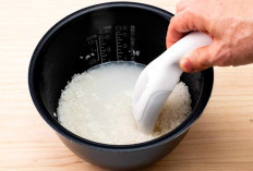 Rice Cooker Jadi Sumber Racun ? Ini Fakta di Balik Kebiasaan Cuci Beras di Dalamnya