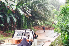 Akses Jalan Lintas Curup-Lubuklinggau Terputus Akibat Longsor