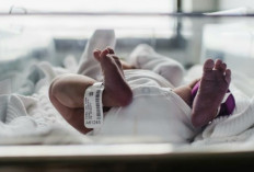 Bagaimana Cara Lahir Bayi Mempengaruhi Otaknya ? Ini Penjelasan Ahli dan Solusinya !