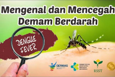 Serangan DBD Meningkat 2.761 Kasus