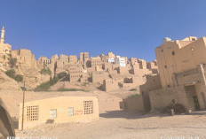 Tarim Habib, Oleh: Dahlan Iskan