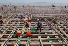 Selain jadi Pagar Laut, Ini Kelebihan Bambu dalam Pembangunan Tol Semarang-Demak