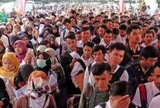 Kamu Harus Tahu! Jurusan Kuliah Ini Punya Risiko Tinggi Lulus Menganggur, Cek Daftarnya