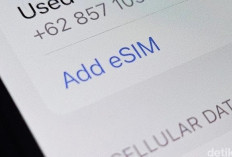 Warga RI Didorong Beralih ke eSIM, Apa yang Perlu Diketahui?