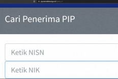 PIP Kemendikbud Resmi Dirilis, Ini Cara Mengecek Apakah Kamu Termasuk Sebagai Penerima!