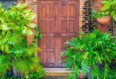 Tanaman Feng Shui untuk Pintu Depan Rumah