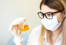 Urine Berbuih Terus ? Ini Penjelasan Lengkap dan Solusi Medisnya