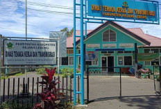 Disnakertrans Rejang Lebong Dorong Peningkatan Peluang Kerja dan Pengembangan Kawasan Transmigrasi