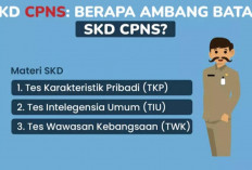 Ini Nilai Ambang Batas Atau Passing Grade Tes SKD CPNS 2024