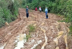 Jalan Penghubung Desa Terancam Putus