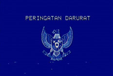 Viral di Medsos Garuda Biru di Peringatan Darurat, Apa Itu?