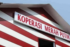 Pensiunan Bank Himbara Diusulkan Jadi Manager Koperasi Merah Putih