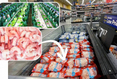 Hidup Mati, Oleh: Dahlan Iskan