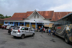 Arus Mudik 2026 di Terminal Simpang Nangka Curup Melonjak Tajam, Penumpang Didominasi Antarprovinsi