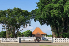 Ini Dia Sejarah dan Kepercayaan Mistis di Balik Keberadaan Pohon Beringin Kembar Jogja!!