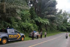  Libur Nataru, Arus Kendaraan Menuju Destinasi Wisata di Rejang Lebong Mulai Padat