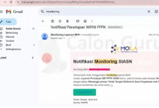 Pemberitahuan Penetapan NIP PPPK Dikirim ke Email, Tanda SK Segera Terbit, Bagaimana Cara Mengeceknya?