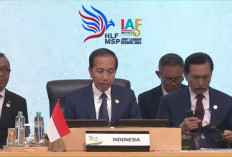 Jokowi Beberkan 4 Poin untuk Pembangunan Negara Berkembang, Forum IAF 2024