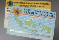 Imbauan Terbaru Buat Anda Pemilik NPWP Seluruh Indonesia, Wajib Diikuti!