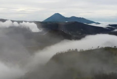 Jelajahi Keajaiban Gunung Bromo, Destinasi Wisata Wajib di Malang yang Menyuguhkan Sunrise Magis