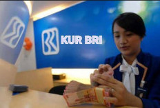 Ajukan KUR Sebelum 2025, Begini Syarat dan Caranya