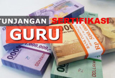 Guru Senyum Lebar, Sertifikasi Guru ASN Cair