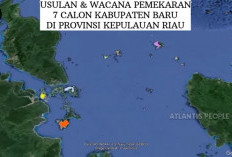 Berikut 7 Kabupaten Kota Baru yang Masuk Rencana Pemekaran di Provinsi Kepulauan Riau, Apa Saja?