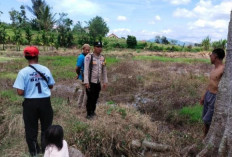 Beruang Madu Masuk Area Sekolah Dasar di Curup, Warga diminta Waspada 