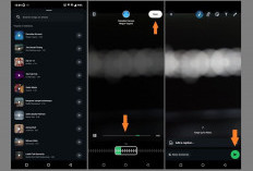 WhatsApp Uji Coba Fitur Musik di Status, Begini Cara Menggunakannya