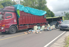 Tak Kuat Menanjak, Truk Muatan Air Mineral Terguling