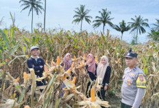 Program SADESAHE Desa Sukamarga Mulai Membuahkan Hasil