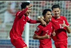 AFF Tidak Akui Timnas, Alex Pastoor Minta Out?