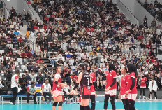 Indonesia All Star Lawan Megawati Hangestri dan Red Sparks di Fun Volleyball