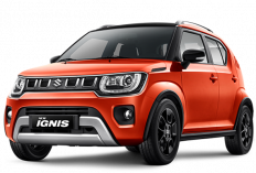 Mobil Kecil Rasa Sultan: Mengupas Daya Tarik Suzuki Ignis di Tengah Mobil SUV Bongsor
