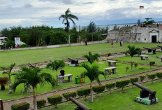 Bengkulu Jadi Provinsi Paling Terampil Kedua di Indonesia 2025, Kalahkan Banyak Daerah Maju !