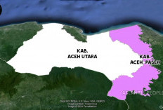 Ini Daftar 11 Kecamatan di Provinsi Aceh yang Bakal Bentuk Kabupaten Baru Bernama Aceh Malaka dan Aceh Paseh